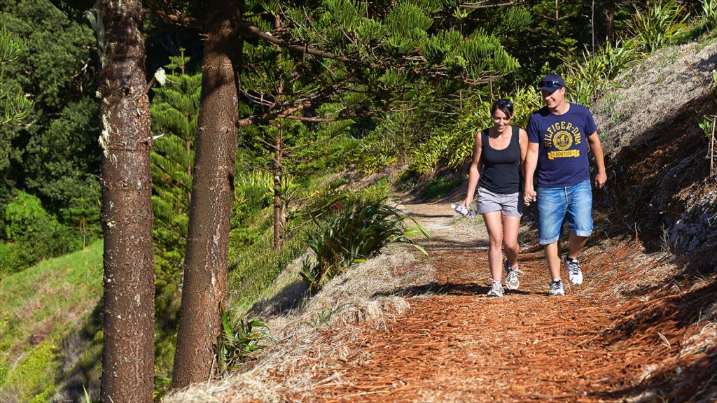 Walking Norfolk Island